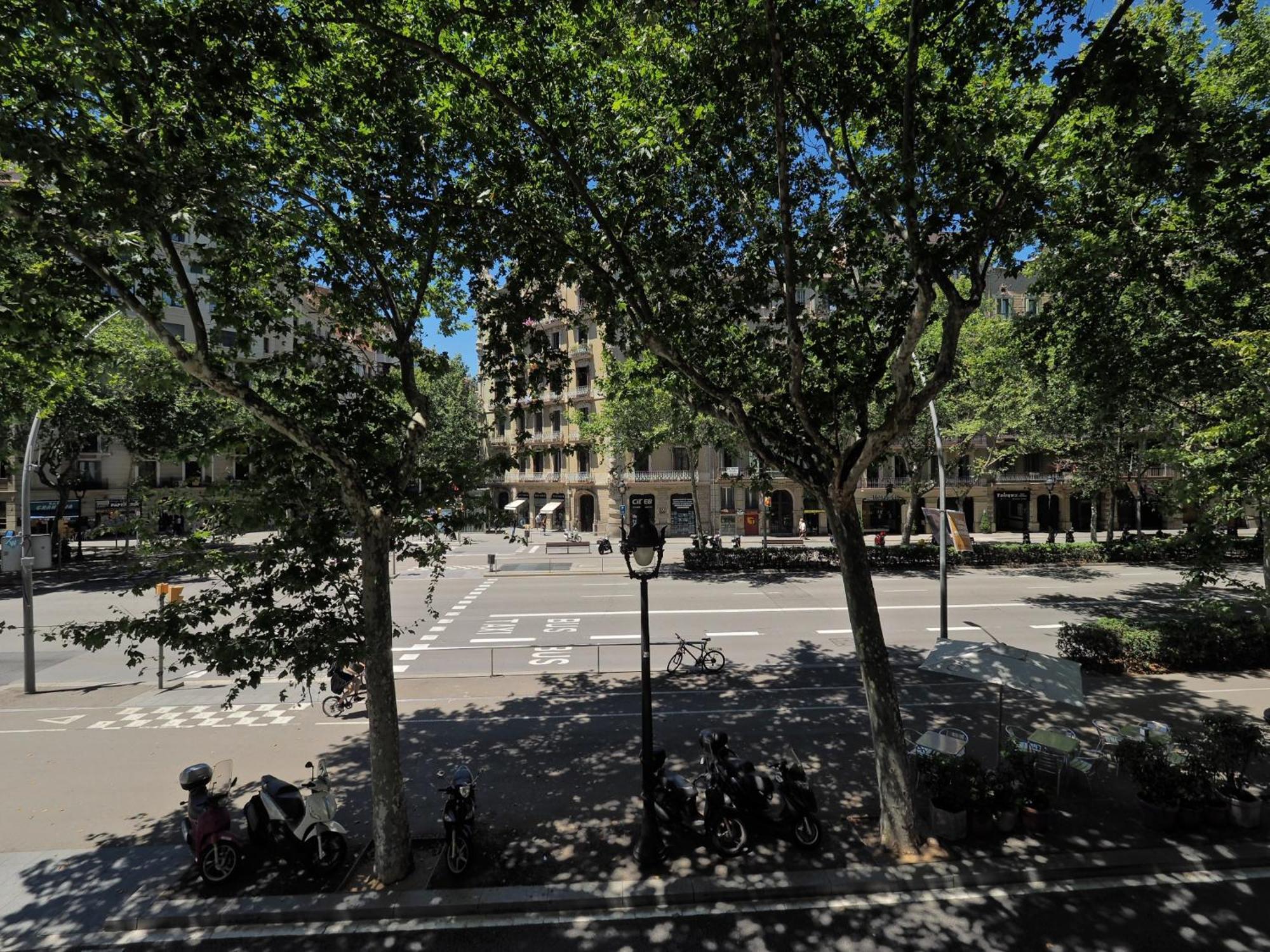 Barcelona Central Park II — Fotos 1
